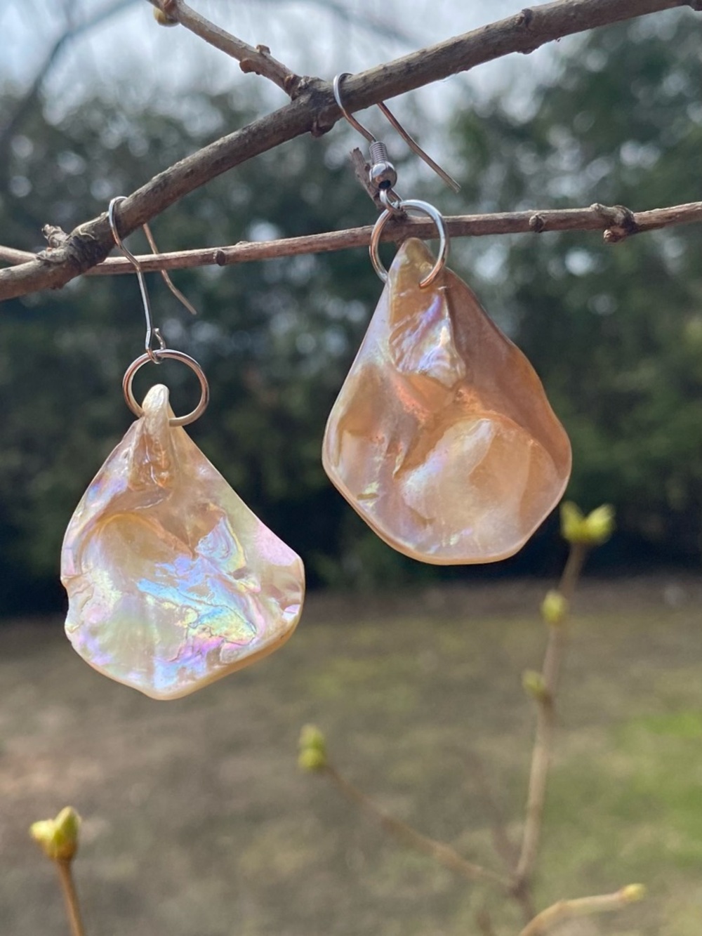Handmade Shell Dangle Earrings - Clear with Gold Swirl